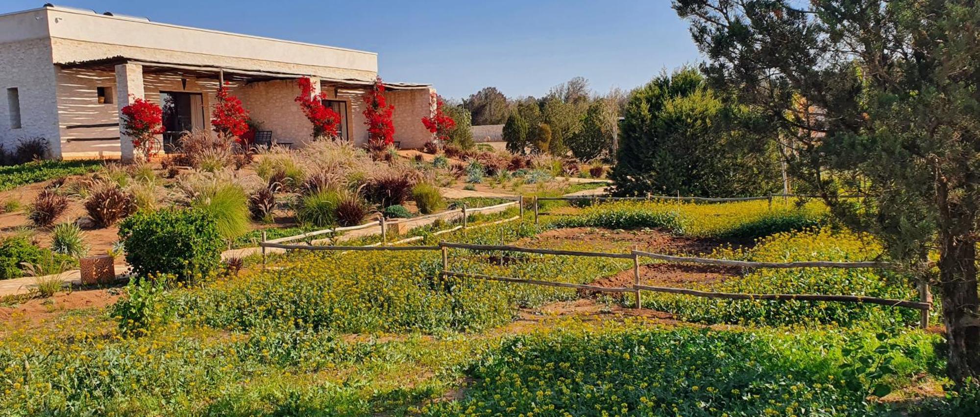 Le Clos De La Roussiere Essaouira Ngoại thất bức ảnh