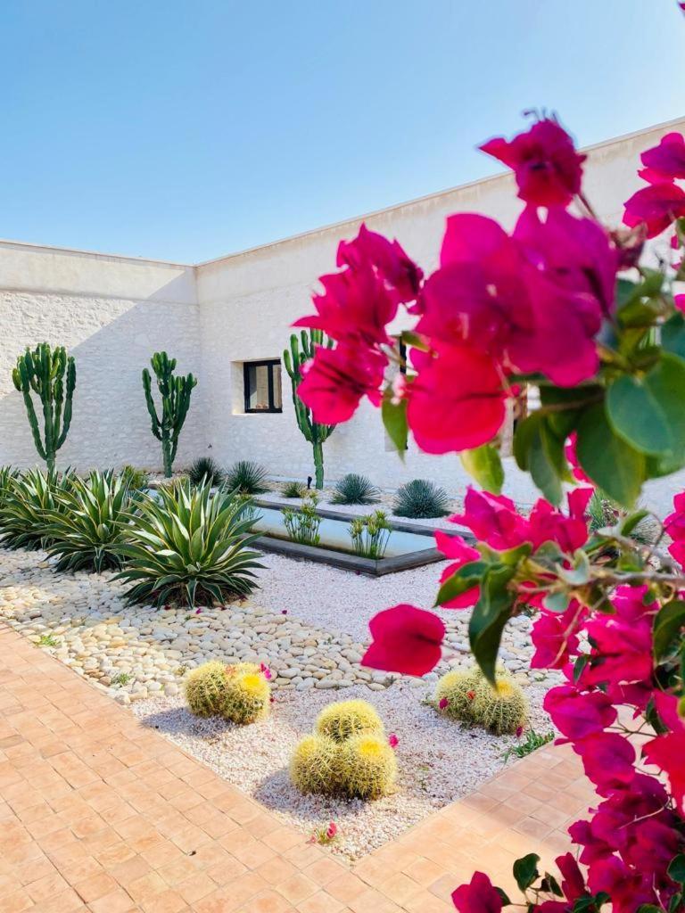 Le Clos De La Roussiere Essaouira Ngoại thất bức ảnh