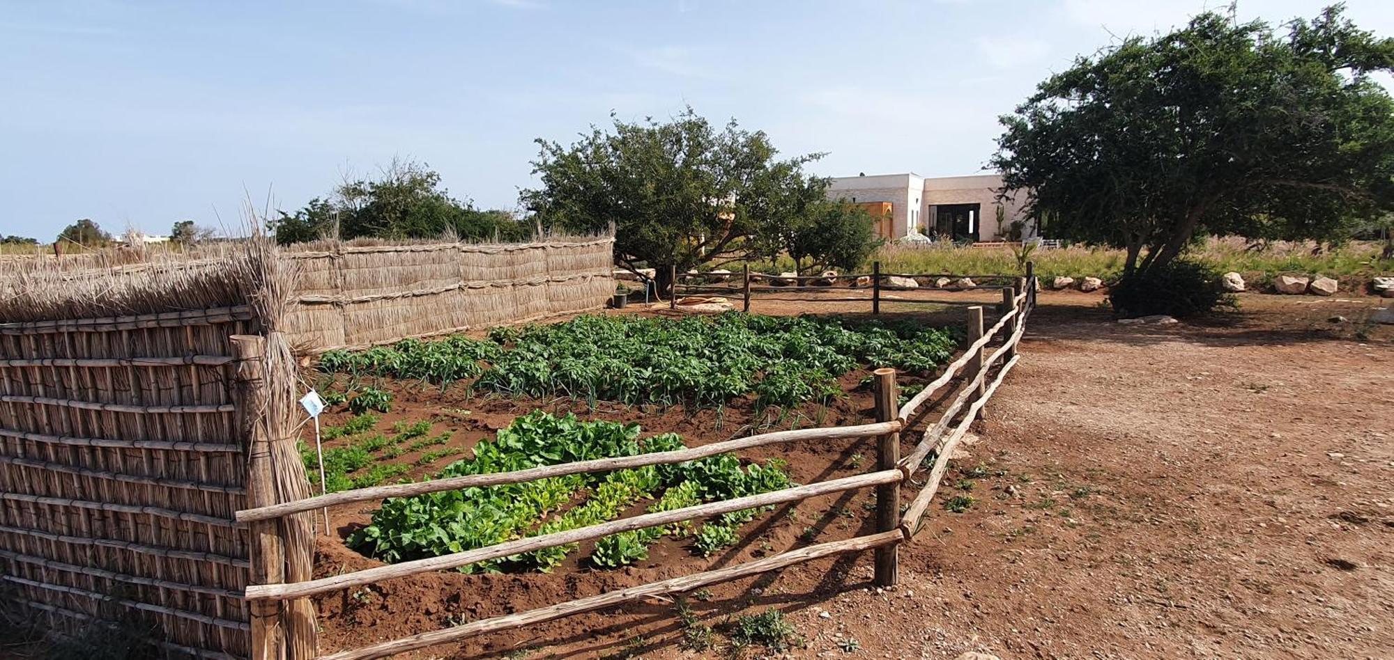 Le Clos De La Roussiere Essaouira Ngoại thất bức ảnh