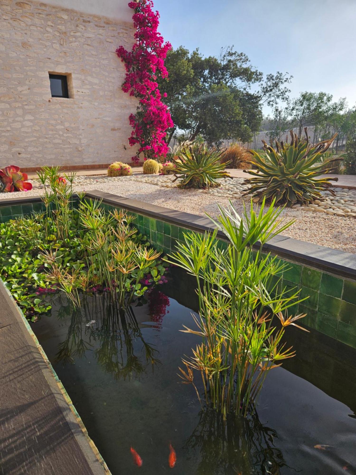 Le Clos De La Roussiere Essaouira Ngoại thất bức ảnh