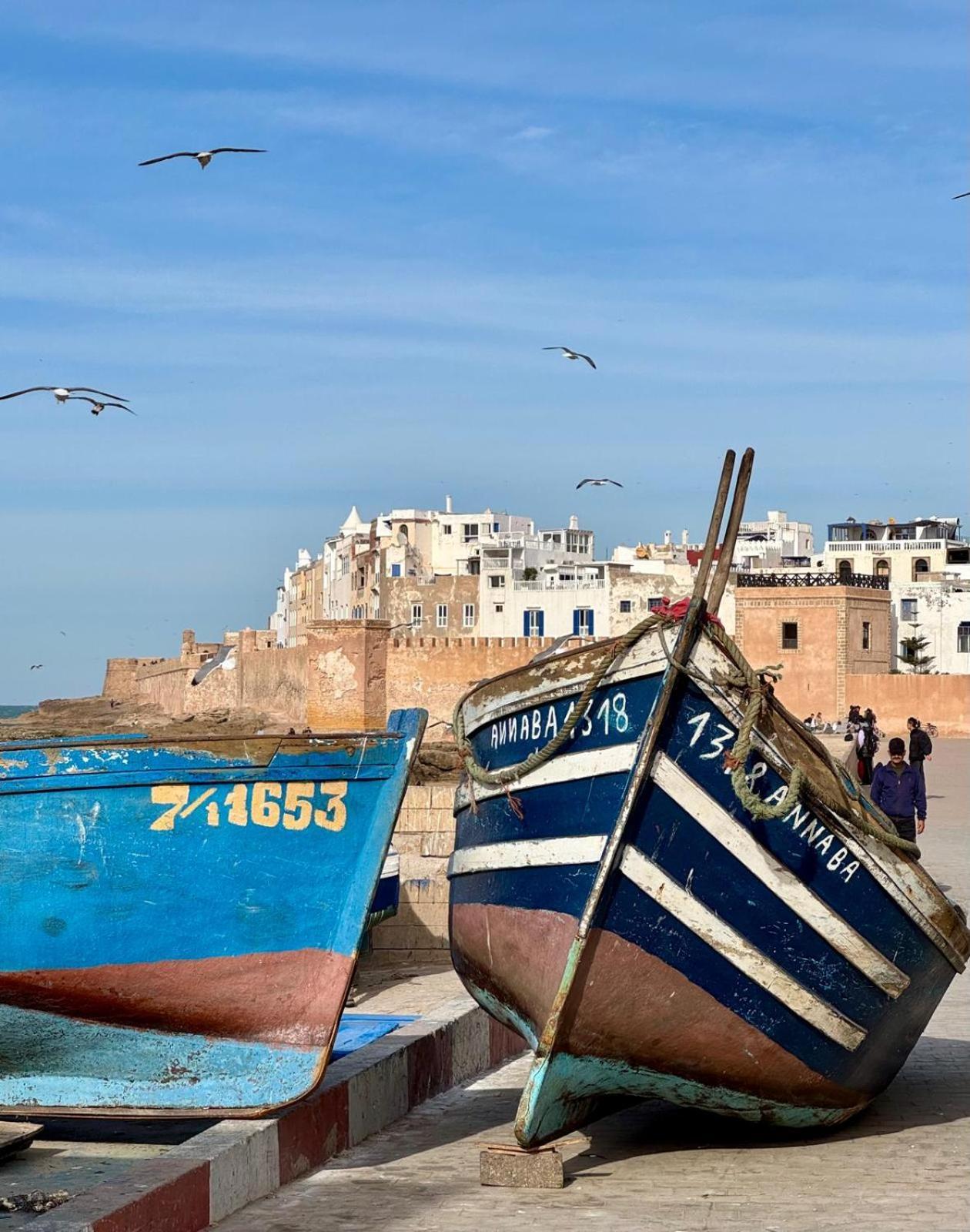 Le Clos De La Roussiere Essaouira Ngoại thất bức ảnh