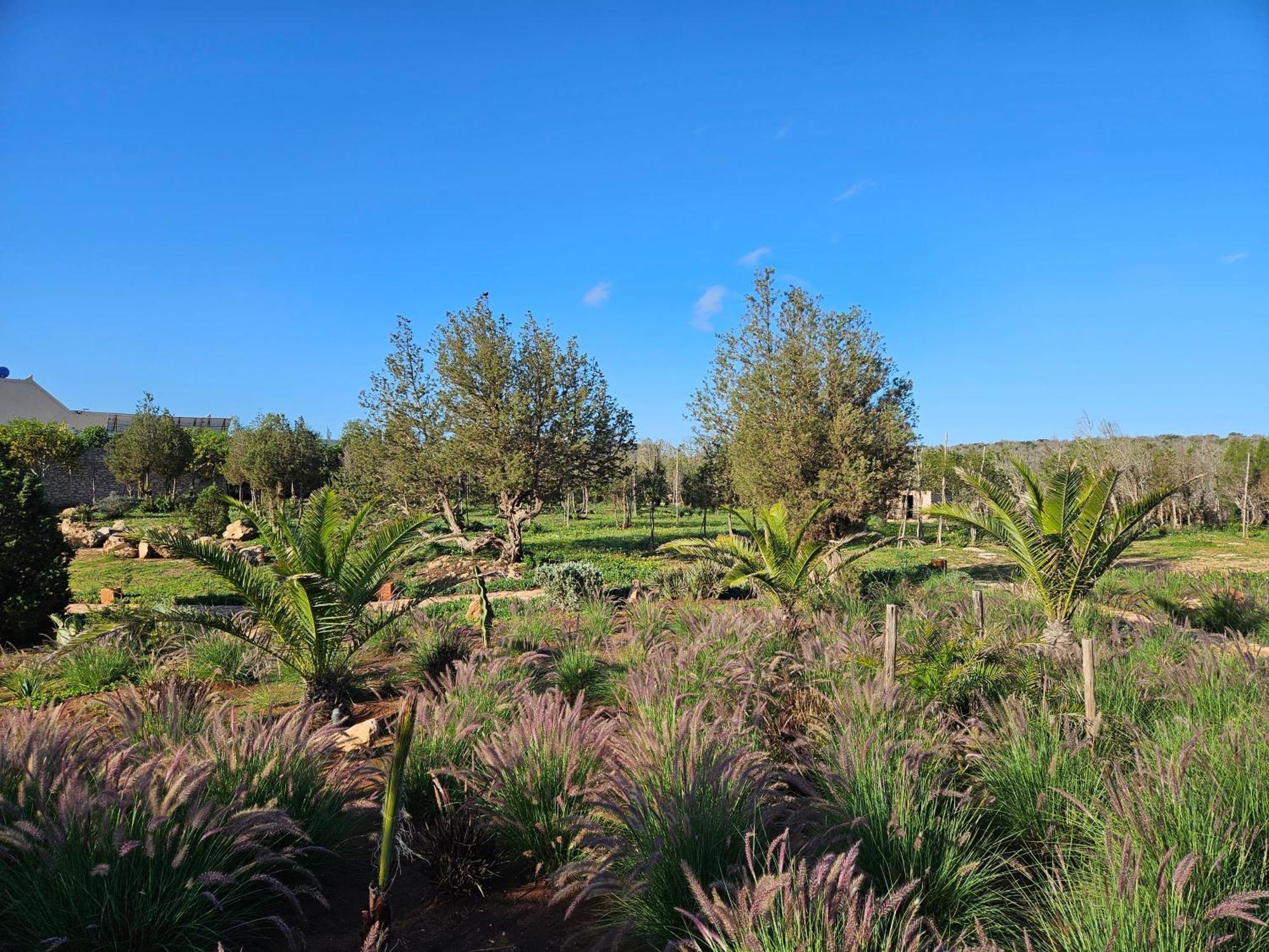 Le Clos De La Roussiere Essaouira Ngoại thất bức ảnh